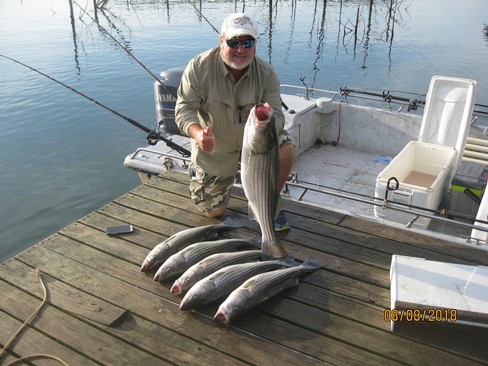 Nice Striped Bass